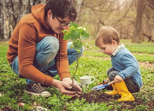 landing-detail-image